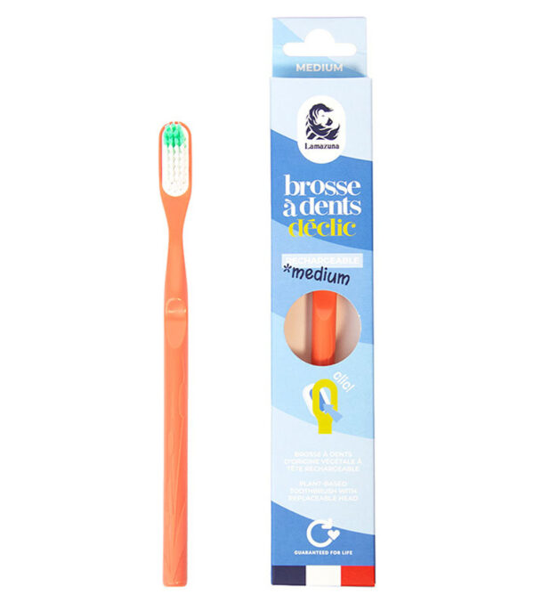 Replaceable-head toothbrush, Medium